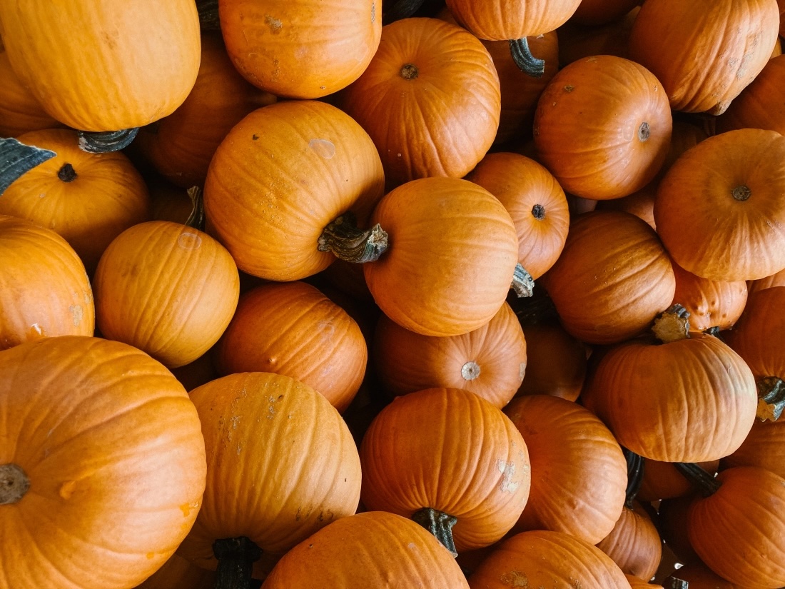 A pile of pumpkins