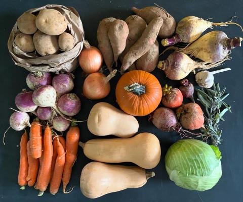Vegetables in the Winter Storage Thanksgiving Box