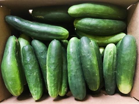 Cucumbers in a box